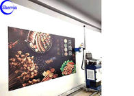 CMYK Shervin 3d Intelligent CE Wall Mural Printer